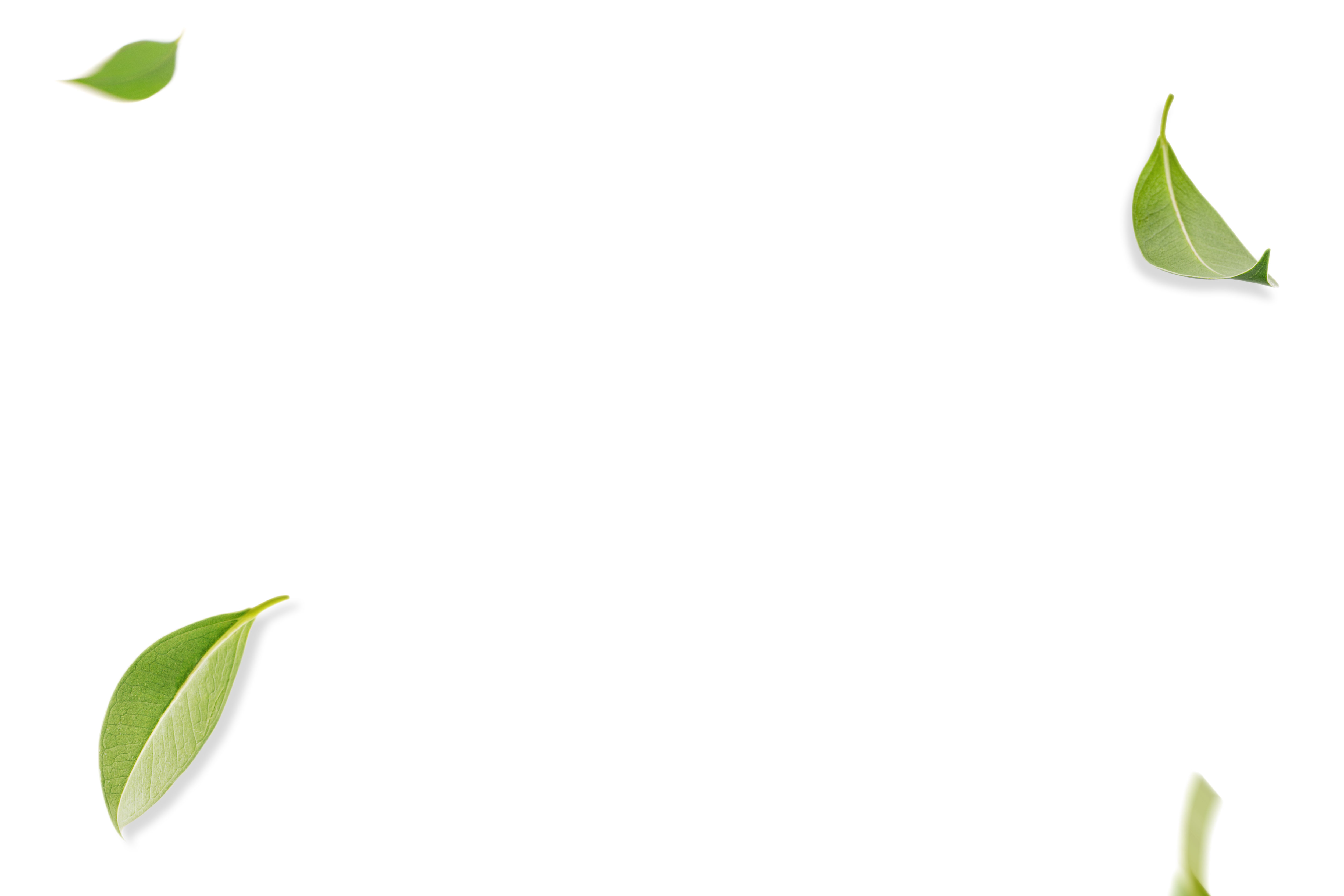 Jetzt neu!<br>HERBST SPECIAL